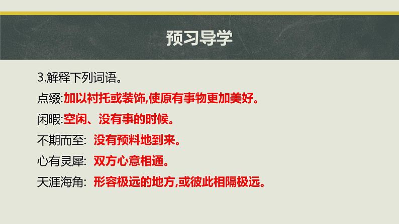 24 带上她的眼睛 课件 初中语文人教部编版七年级下册（2022年）第6页