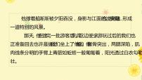 2022年中考语文写作专题复习-细节描写之如何选点课件PPT