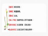 知识梳理01：字音字形 期末专项复习课件  初中语文人教部编版七年级下册（2022年）