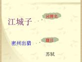初中语文人教版（部编）九年级下册江城子密州出猎 课件