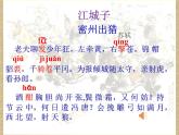 初中语文人教版（部编）九年级下册江城子密州出猎 课件