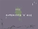 初中语文人教版（部编）九年级下册定风波（莫听穿林打叶声） 课件