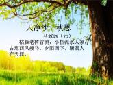 初中语文人教版（部编）九年级下册渔家傲秋思 课件
