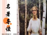 初中语文人教版（部编）九年级下册《简爱》：外国小说的阅读1 课件