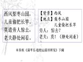 初中语文人教版（部编）九年级下册19枣儿2 课件