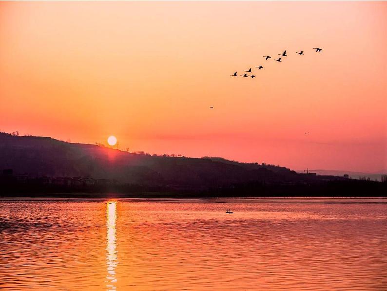 初中语文人教版（部编）八年级下册学写仿写6 课件02