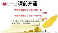 初中语文人教部编版八年级下册写作 学习仿写背景图课件ppt