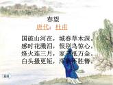 初中语文人教版（部编）八年级下册卜算子咏梅 课件