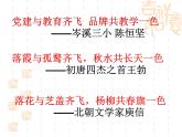初中语文人教版（部编）八年级下册学写仿写 课件
