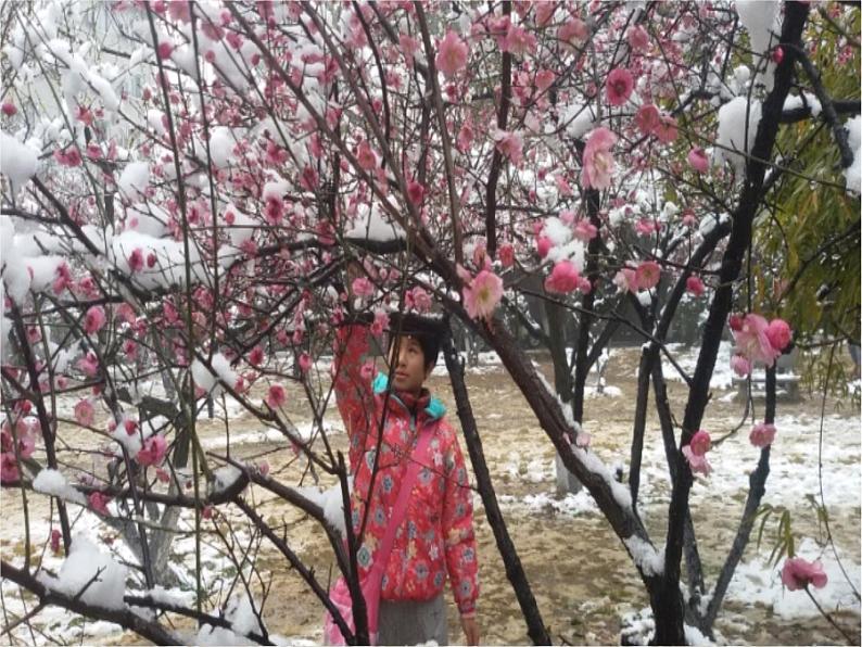 初中语文人教版（部编）八年级下册卜算子咏梅1 课件07