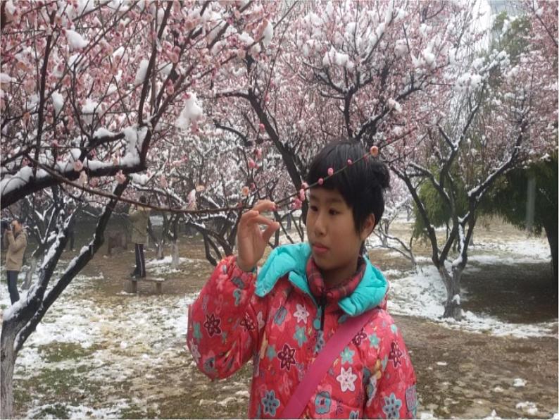 初中语文人教版（部编）八年级下册卜算子咏梅1 课件08