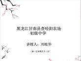 初中语文人教版（部编）八年级下册卜算子咏梅2 课件
