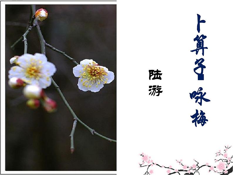 初中语文人教版（部编）八年级下册卜算子咏梅2 课件第7页