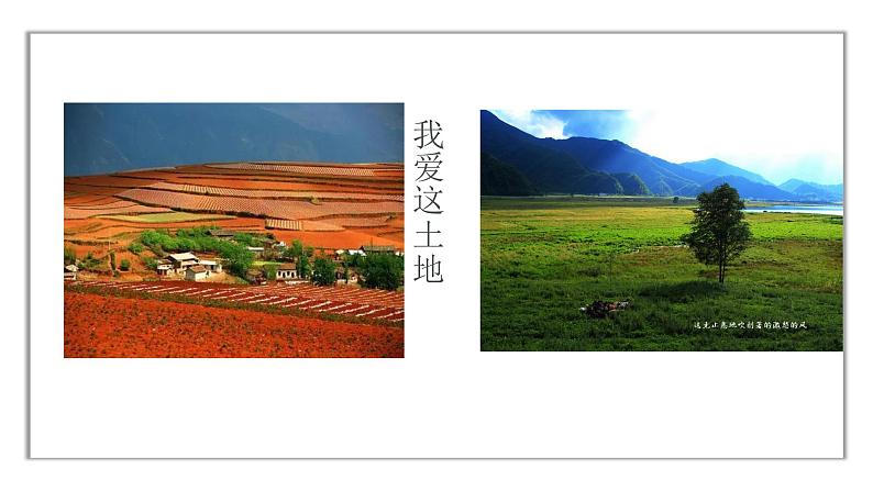 人教部编版九年级语文上册《我爱这土地》课件+教案+同步练习06