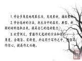 第四单元 写作怎样选材 课件 初中语文人教部编版（五四制）七年级下册（2022年）