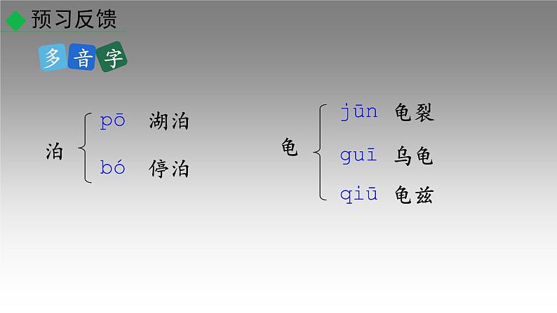 部编版八年级语文下册----8  时间的脚印  课件第7页
