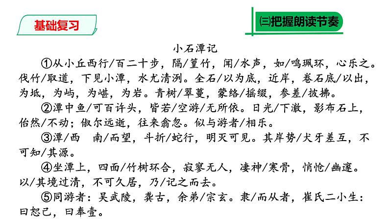 部编版八年级语文下册----《小石潭记》复习课课件第8页