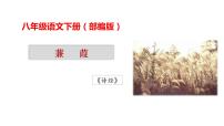 初中语文人教部编版八年级下册蒹葭课文课件ppt