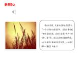 部编版八年级语文下册----12 《诗经》二首 《蒹葭》课件