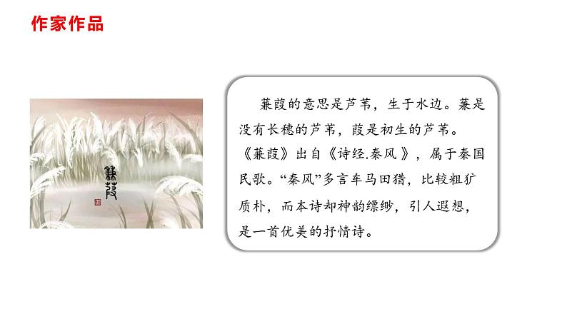 部编版八年级语文下册----12 《诗经》二首 《蒹葭》课件第5页