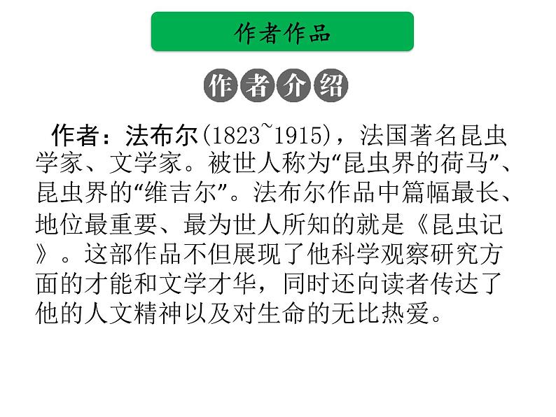 中考语文名著复习---《昆虫记》课件PPT02