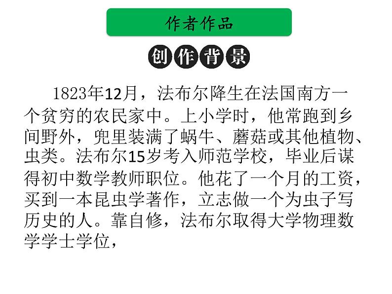 中考语文名著复习---《昆虫记》课件PPT03