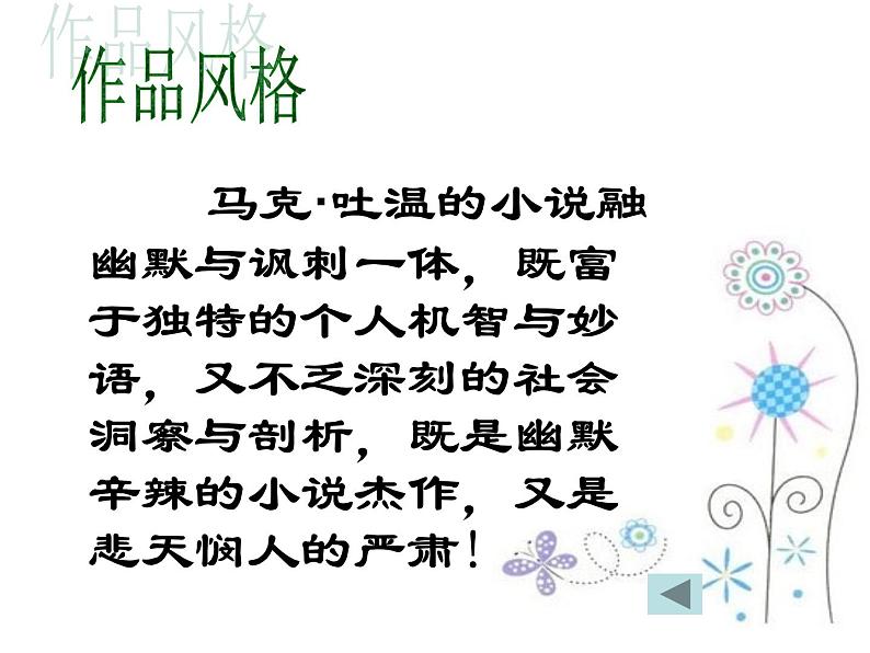 中考语文名著复习---《汤姆索亚历险记》课件PPT第5页