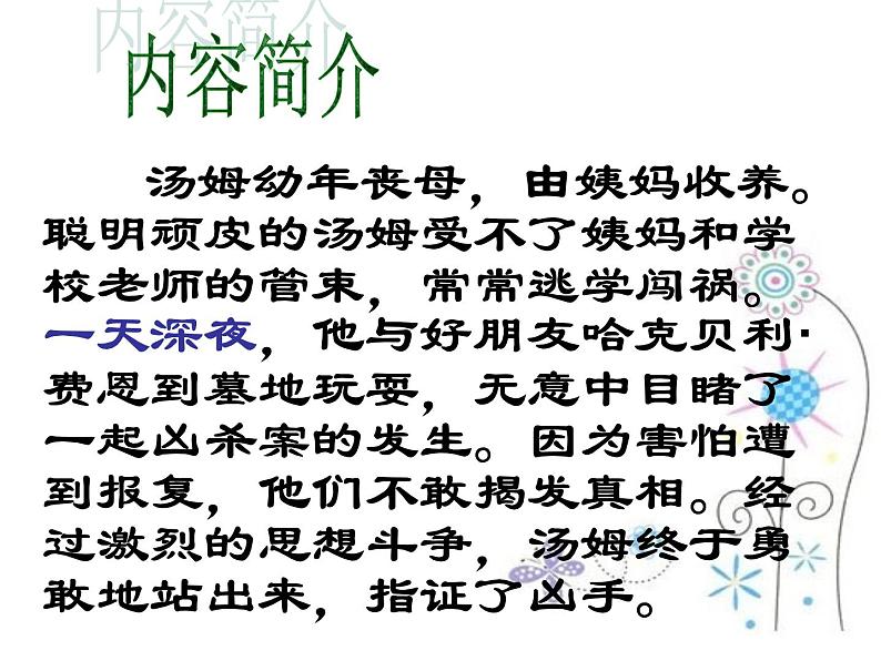 中考语文名著复习---《汤姆索亚历险记》课件PPT第6页