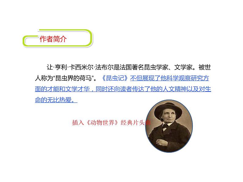 中考语文名著复习---名著导读《昆虫记》课件PPT第2页