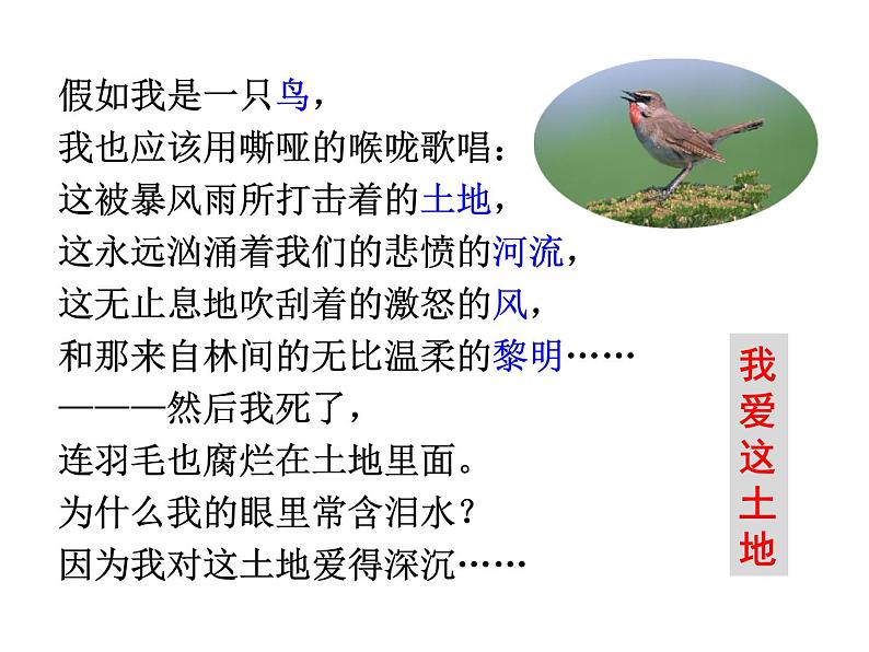 中考语文名著复习---《艾青诗选》：如何读诗课件PPT第7页