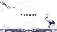 初中语文人教部编版 (五四制)八年级下册（2018）5 大自然的语言/竺可桢图文ppt课件