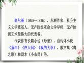 4 海燕 课件 初中语文人教部编版（五四制）九年级下册（2022年）
