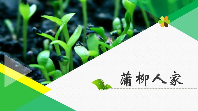 第二单元《蒲柳人家（节选）》课件1 初中语文人教部编版（五四制）九年级下册（2022）01