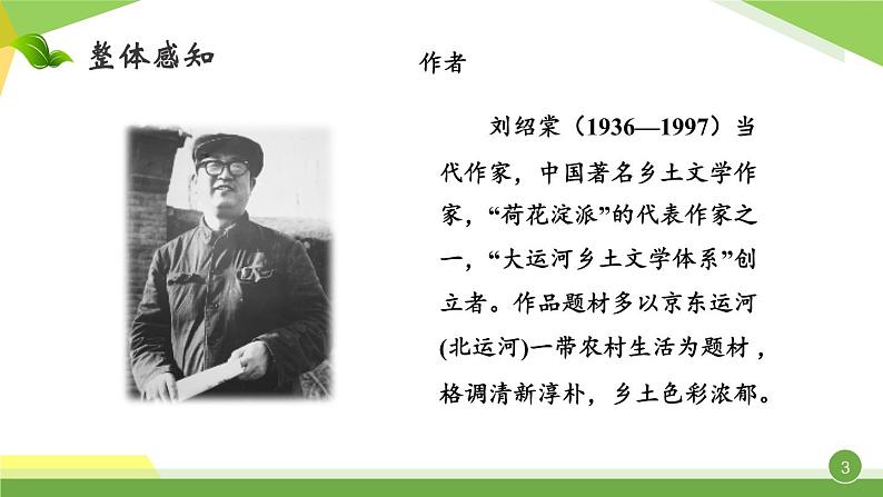 第二单元《蒲柳人家（节选）》课件1 初中语文人教部编版（五四制）九年级下册（2022）03