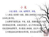 第三单元 11台阶 课件 初中语文人教部编版（五四制）七年级下册（2022年）