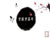 第五单元 17紫藤萝瀑布 课件 初中语文人教部编版（五四制）七年级下册（2022年）