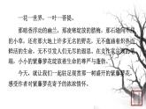 第五单元 17紫藤萝瀑布 课件 初中语文人教部编版（五四制）七年级下册（2022年）