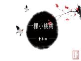 第五单元 18一棵小桃树 课件 初中语文人教部编版（五四制）七年级下册（2022年）
