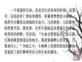 第五单元 18一棵小桃树 课件 初中语文人教部编版（五四制）七年级下册（2022年）