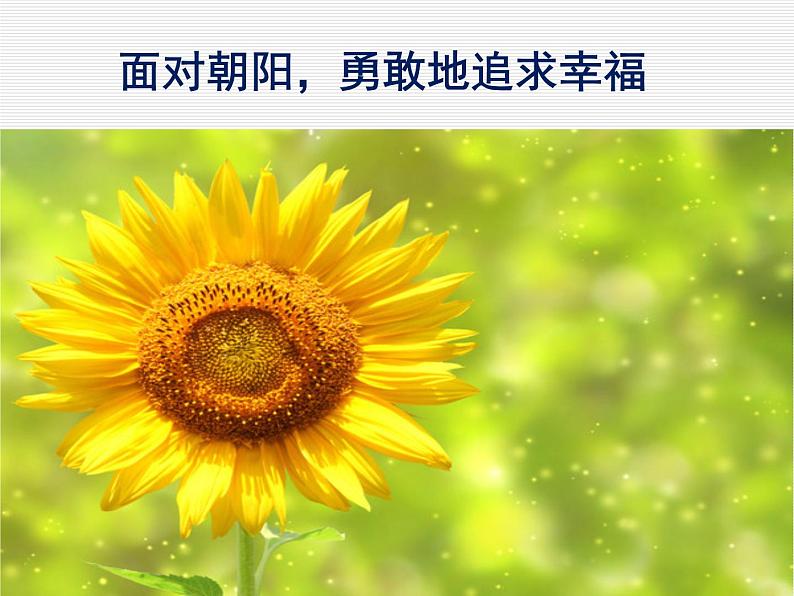 初中语文 人教课标版（部编） 七年级下册紫藤萝瀑布 课件第3页