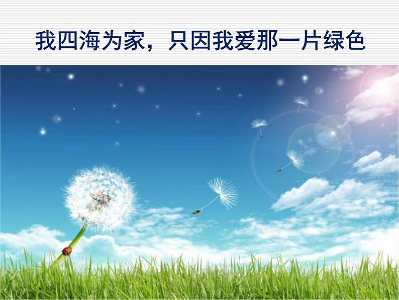 初中语文 人教课标版（部编） 七年级下册紫藤萝瀑布 课件第4页