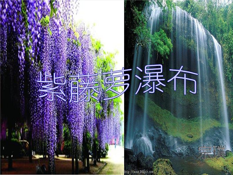 初中语文 人教课标版（部编） 七年级下册紫藤萝瀑布 课件第2页