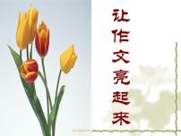 中考语文复习课件《点题》（共28张PPT）