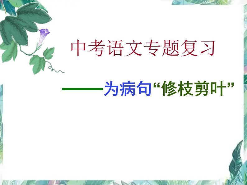中考语文专题复习－病句专题复习课件PPT01