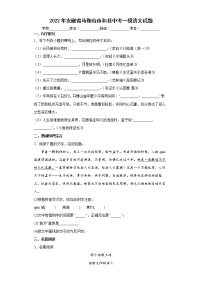 2022年安徽省马鞍山市和县中考一模语文试题(word版含答案)