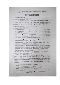 江苏省沭阳县2021-2022学年七年级下学期期中调研语文试卷（有答案）