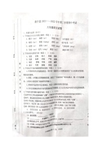河南省洛宁县2021-2022学年八年级下学期期中考试语文试题（有答案）