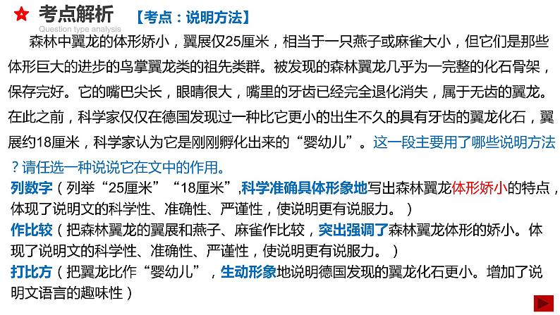 2022年中考语文专题复习-说明文考点汇总复习课件（共30页）第6页