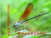 中考专区 二轮专题作文的语言美课件PPT