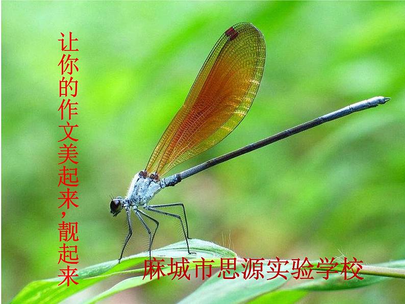 中考专区 二轮专题作文的语言美课件PPT01